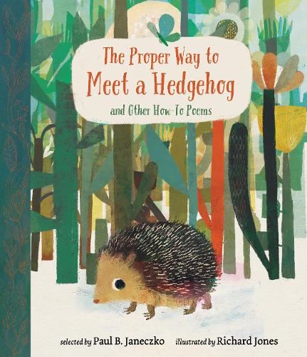 Proper Way To Meet A Hedgehog