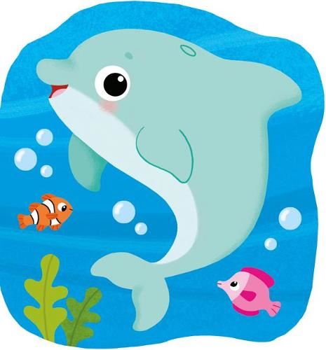 Splashy Dolphin
