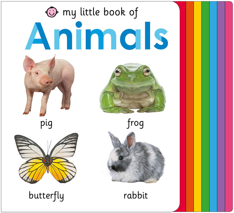 Small Books: Animals