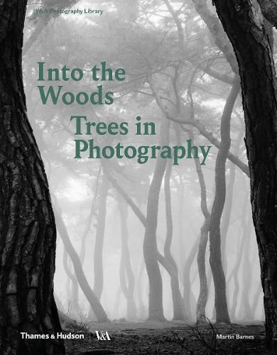 Into the Woods: Trees in Photography: Trees and Photography (Photography Library series Victoria and Albert Museum)