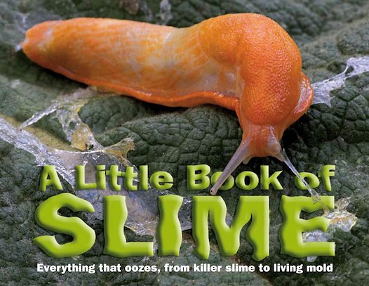 Little Book of Slime