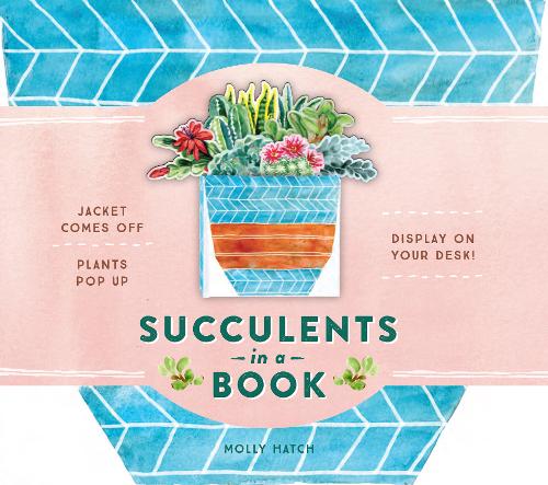 Succulents in a Book (pop up)