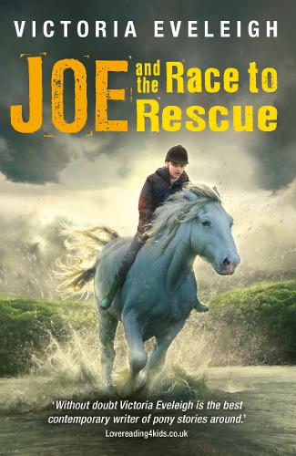 Horseshoe Trilogy: Joe & the Race to Rescue