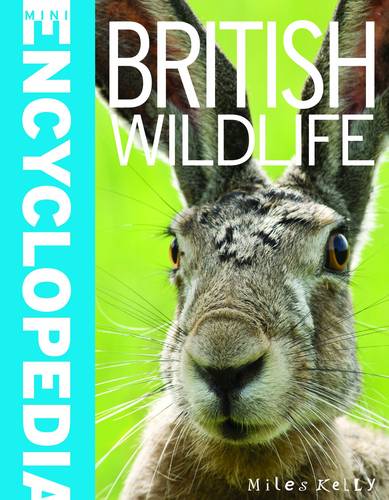 Mini Encyclopedia: British Wildlife