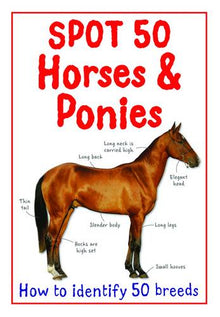 Spot 50: Horses & Ponies