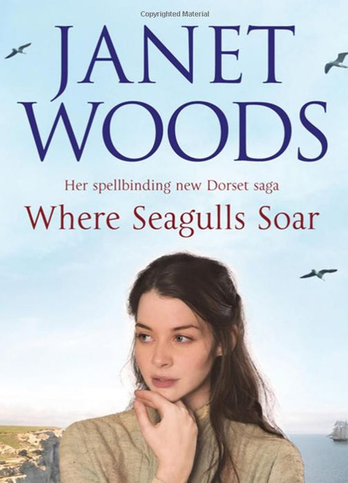 Woods: Where Seagulls Soar