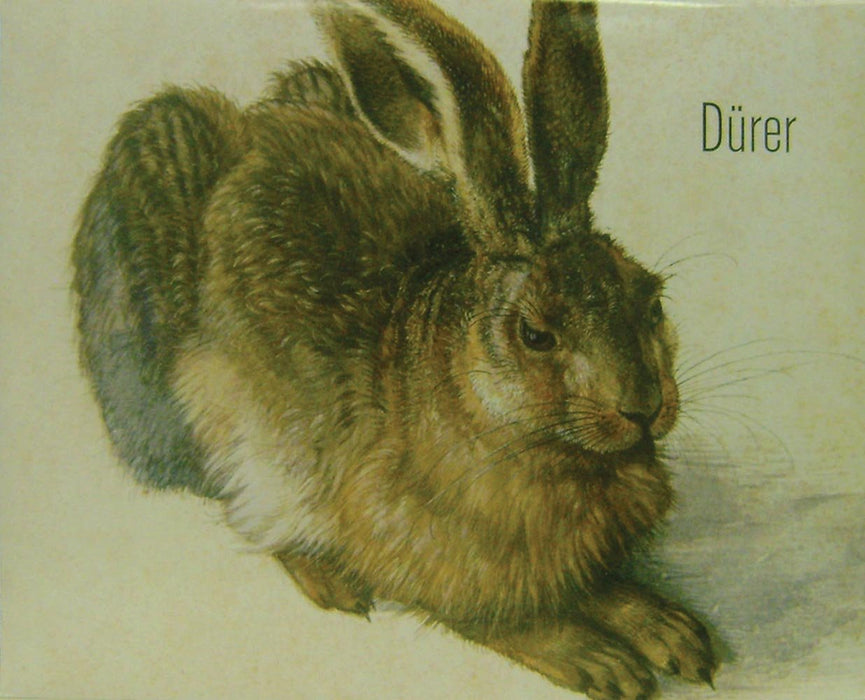 Posters: Durer