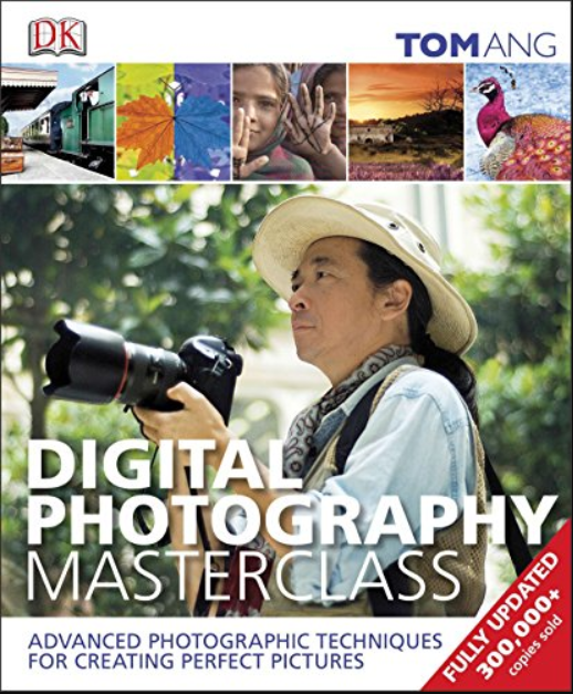 Digital Photography Masterclass: Advanced Photographic Techniques for Creating Perfect Pictures