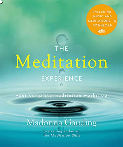 The Meditation Experience  (ON HOLD)