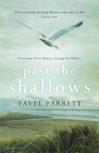 Past the Shallows