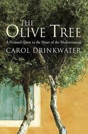 The Olive Tree