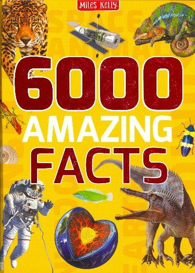 Mk 6000 Amazing Facts