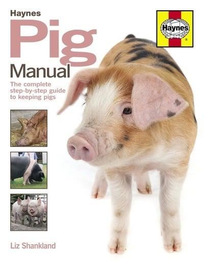 Pig Manual: The Complete Step-by-Step Guide to Keeping Pigs