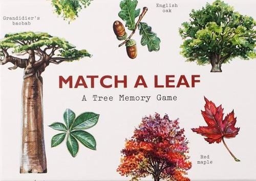 Match a Leaf: A Tree Memory Game: 1 (Games)