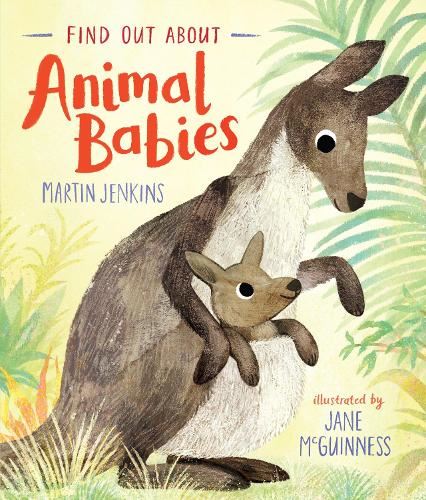 Find Out About Animal Babies