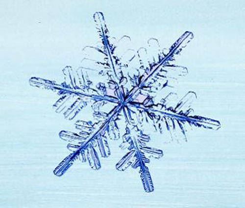 The Story of Snow: The Science of Winter's Wonder
