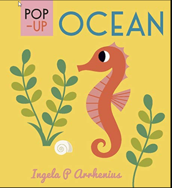 Pop-up Ocean