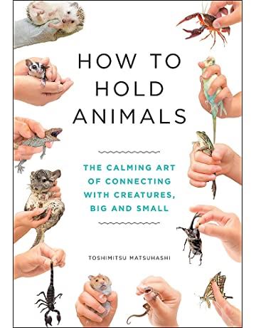 How to Hold Animals