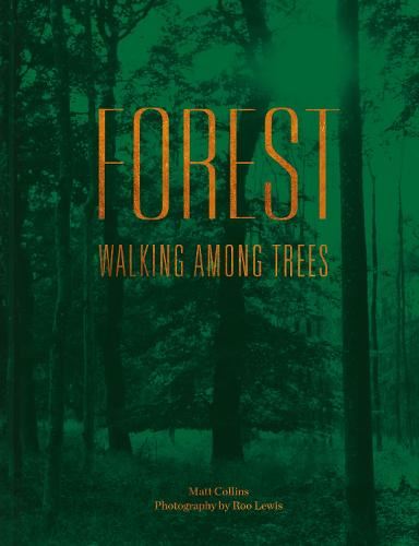 Forest: Walking among trees